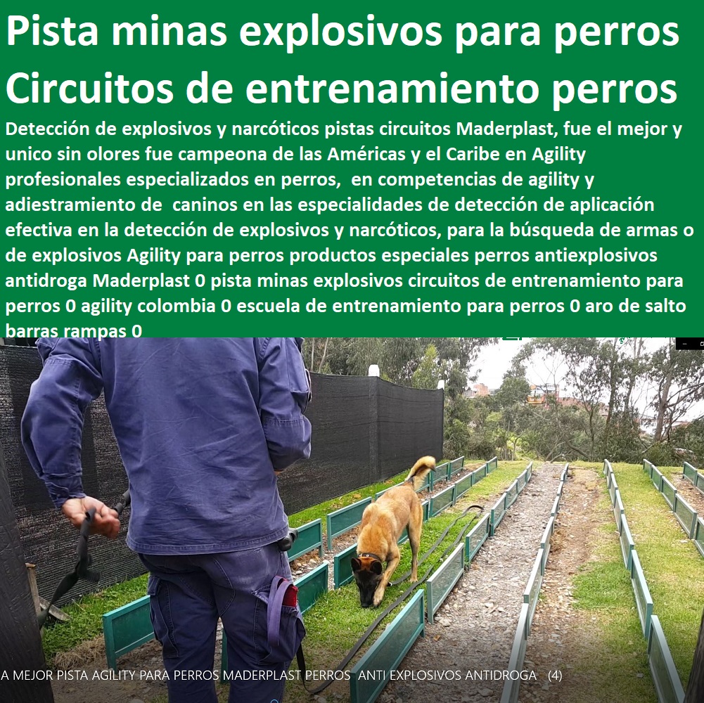 Agility Canino Circuito Entrenamiento de Perros Pista Adiestramientos perros Guías 0 pista rastreo olfato Circuitos Caninos Agility conformes al reglamento 0 Canes Guías Antiexplosivos Antidroga 0 Obstáculos De Agility Para Perros Objetos Agility Canino Circuito Entrenamiento de Perros Pista Adiestramientos perros Guías 0 pista rastreo olfato Circuitos Caninos Agility conformes al reglamento 0 Canes Guías Antiexplosivos Antidroga 0 Obstáculos De Agility Para Perros Objetos